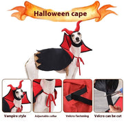 Small dog wearing a Halloween vampire costume with red and black cape, adjustable collar, and Velcro fastenings.